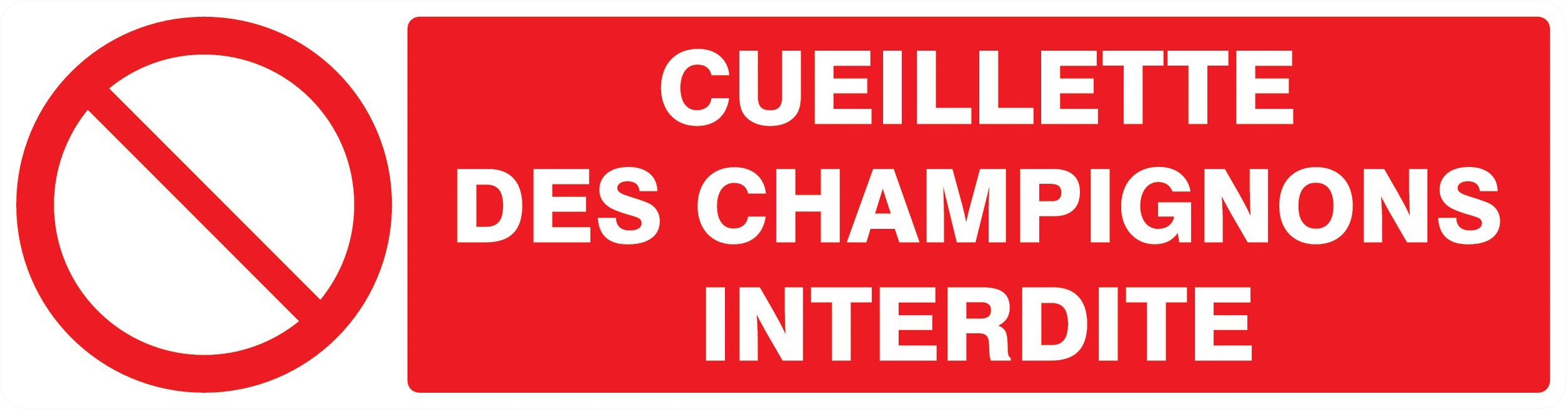 Panneau adhésif CUEILLETTE DES CHAMPIGNONS INTERDITE 200X52MM TALIAPLAST - 720221