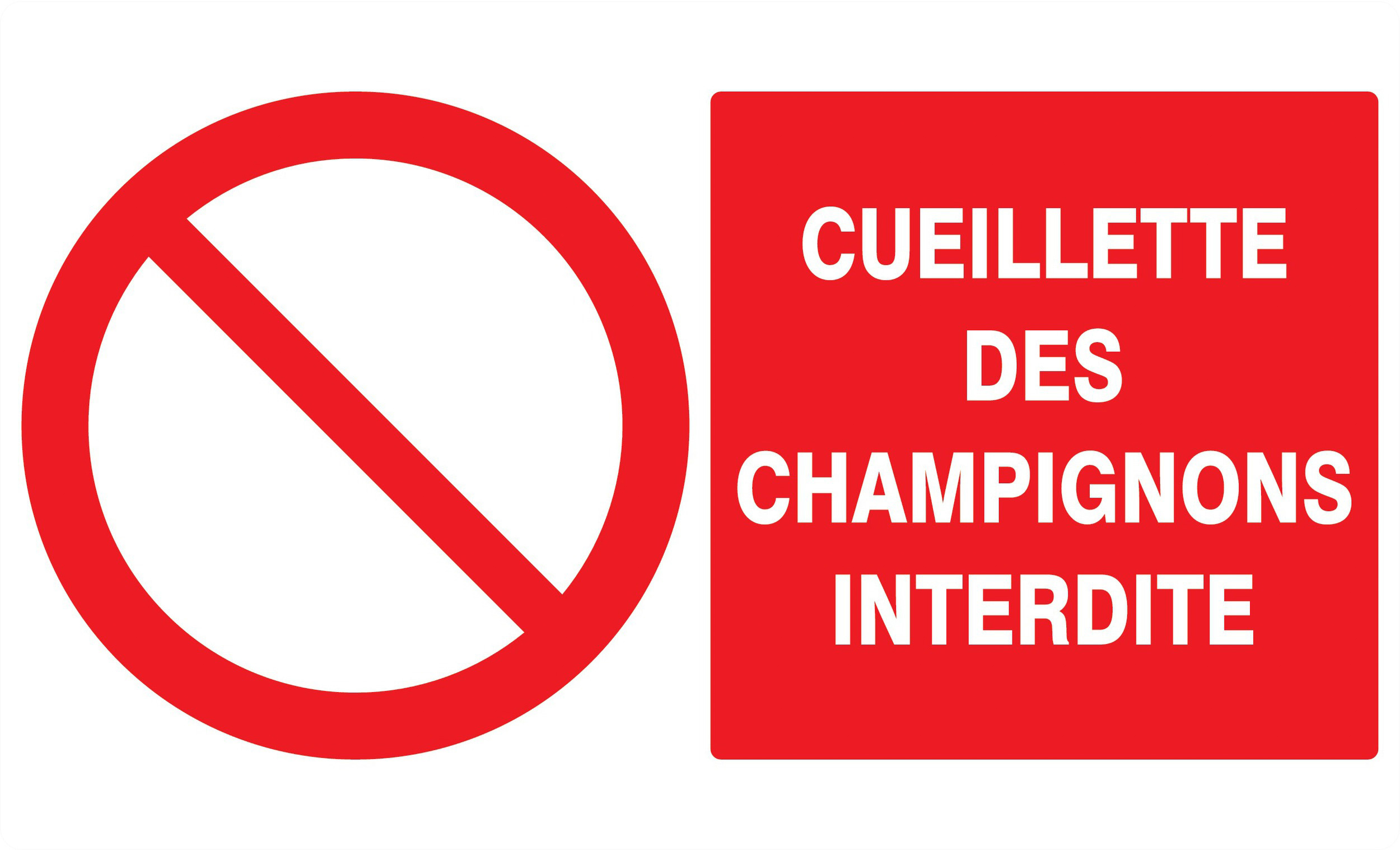 Panneau adhésif CUEILLETTE DES CHAMPIGNONS INTERDITE 330X200MM TALIAPLAST - 721221