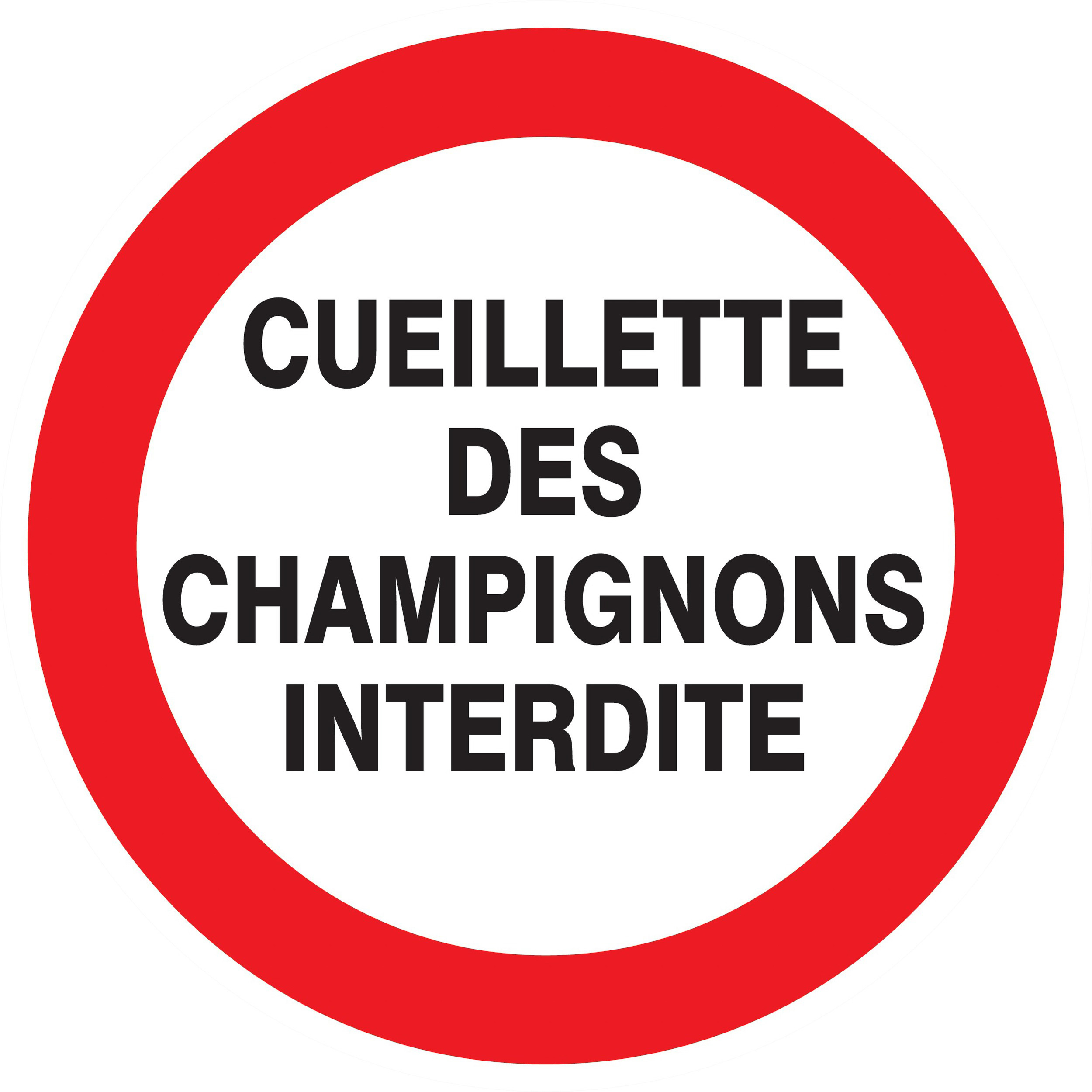 Panneau adhésif CUEILLETTE DES CHAMPIGNONS INTERDITE Ø300MM TALIAPLAST - 722237