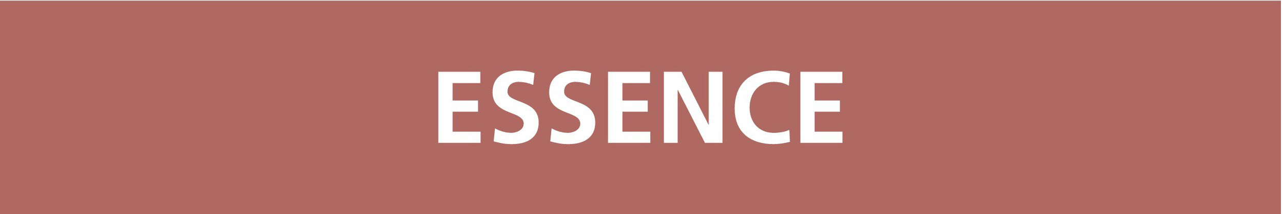 Signalétique de marquage LIQUIDE 312X52 Essence 312x52mm (10 adhesifs pour tuyauterie) TALIAPLAST - 730610