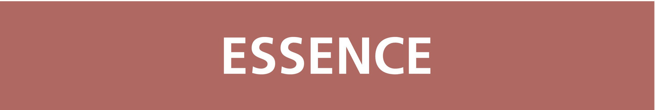 Signalétique de marquage LIQUIDE 222X37 Essence 222x37mm (20 adhesifs pour tuyauterie) TALIAPLAST - 731610
