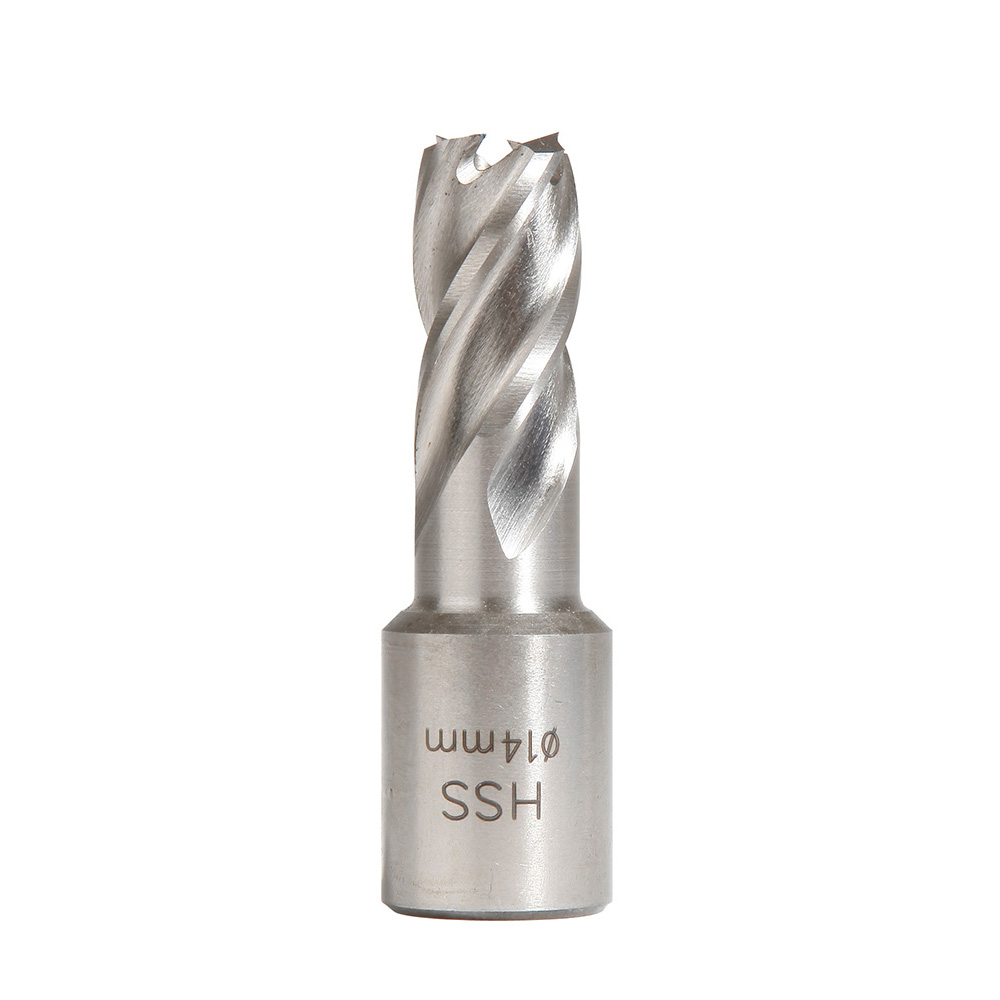 FRAISE HSS H25MM WELDON 19 MM D.14 SIDAMO - 20598202