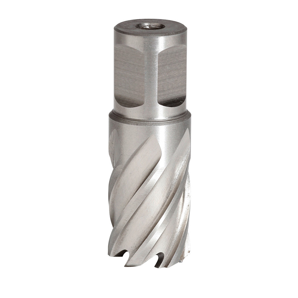 FRAISE HSS H25MM WELDON 19 MM D.28 SIDAMO - 20598216