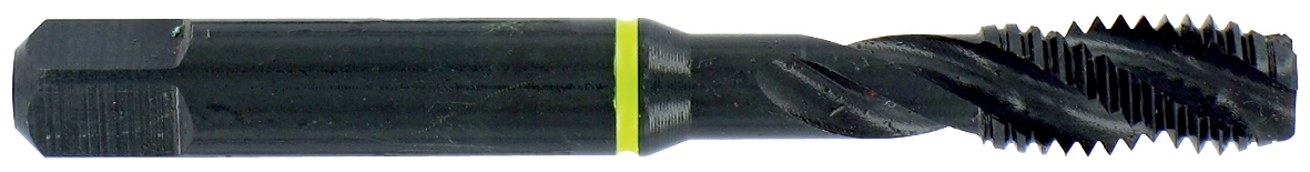 Taraud machine Multi-applications HSS -Traitement STEAM -M -ISO 529 -Forme C -6H -Conicité arrière / Ø: 16 X 2 TIVOLY - 1050121160200