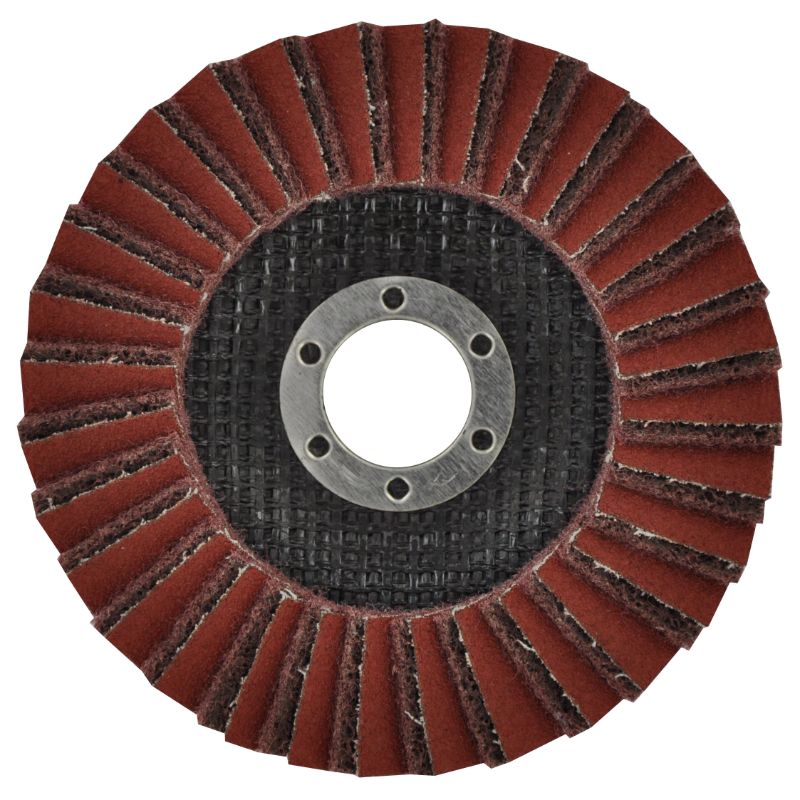 Disque LAMELLES COMBINE (Cartonnette brochable) / Dim Ø115 / Gr : 80 TIVOLY - XT10112011350