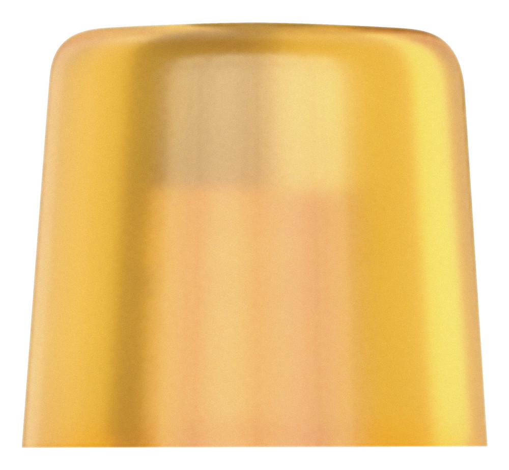 Embouts interchangeables en Cellidor, pour maillet 100 100 L Gr. 2/27 WERA - 05000110001