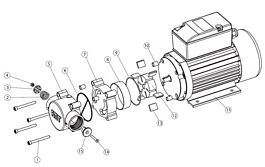Rotor p/ppe 60l/mn 230v BUISARD - 744340