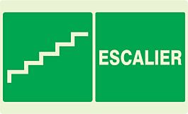 PANNEAU ESCALIER LUMINESCENT 330X200MM TALIAPLAST - 631422