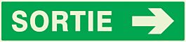PANNEAU SORTIE FLECHE A DROITE LUMINESCENT 330X75MM TALIAPLAST - 635417