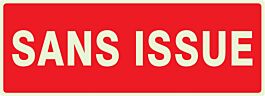 PANNEAU SANS ISSUE (INCENDIE) LUMINESCENT 330X120MM TALIAPLAST - 636124
