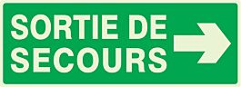 SORTIE DE SECOURS FLECHE A DROITE LUMINESCENT 330x120mm TALIAPLAST - 636415