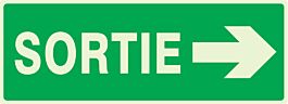 PANNEAU SORTIE FLECHE A DROITE LUMINESCENT 330X120MM TALIAPLAST - 636417