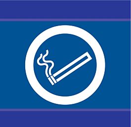PANNEAU ZONE FUMEUR D-SIGN 100X100MM TALIAPLAST - 637636
