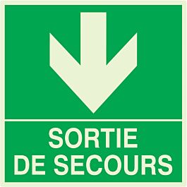 PANNEAU SORTIE DE SECOURS EN BAS LUMINESCENT 200X200MM TALIAPLAST - 638412