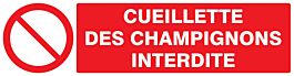 Panneau adhésif CUEILLETTE DES CHAMPIGNONS INTERDITE 200X52MM TALIAPLAST - 720221