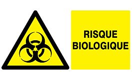 Panneau adhésif DANGER, RISQUE BIOLOGIQUE 330X200MM TALIAPLAST - 721317