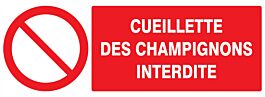 Panneau adhésif CUEILLETTE DES CHAMPIGNONS INTERDITE 330X120MM TALIAPLAST - 726221