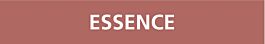Signalétique de marquage LIQUIDE 312X52 Essence 312x52mm (10 adhesifs pour tuyauterie) TALIAPLAST - 730610