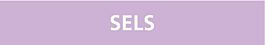 Signalétique de marquage ACIDES 222X37 Sels 222x37mm (20 adhesifs pour tuyauterie) TALIAPLAST - 731742