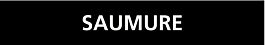 Saumure 222x37mm (20 adhesifs pour tuyauterie) TALIAPLAST - 731819