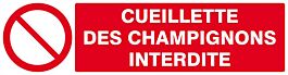 Panneau rigide CUEILLETTE DES CHAMPIGNONS INTERDITE 200x52mm TALIAPLAST - 620221