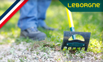 Leborgne