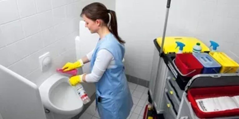Les risques sanitaires et la prolifération des micro-organismes
